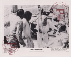 JAWS THE REVENGE. TIBURON. CINE CINEMA. ACTOR ACTRESS. ACTRIZ. PHOTO FOTO +-25.5X20.5CM - Other Formats