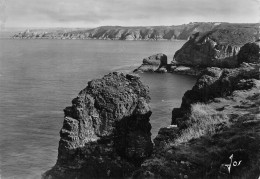 [-5%] FRANCE - Le Cap Fréhel - Les Magnifiques Falaises De Schiste Et Des Grès Rouge - Edit DArt Jos - Carte Posta - Cap Frehel