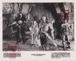 CONAN THE DESTROYER. ARNOLD SCHWARZENEGGER. CINE. CINEMA. ACTOR ACTRIZ ACTRESS. +-24X19.5CM - Other Formats