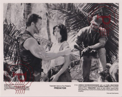 PREDATOR. CINE. CINEMA. ACTOR ACTRIZ ACTRESS. +-24X19.5CM - Other Formats