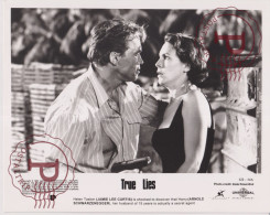 TRUE LIES. CINE. CINEMA. ACTOR ACTRIZ ACTRESS. +-25.5X20CM - Other Formats
