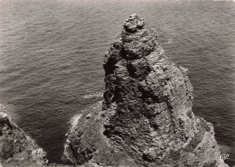 [-5%] FRANCE - 34 - Cap Fréhel - Le Rocher Aux Mouettes - Edit CAP - Rocher - Mer - Vue Aérienne - Carte Postale - Cap Frehel