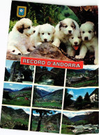 Delcampe - CPM Record D'Andorra ANDORRA (1280036) - Andorra