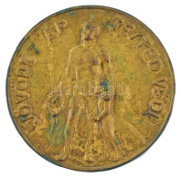 Csehszlovákia ~1930. "Jövődet ép Tested Védi / Csehszl. Magyar Testnevelő Szövetség" Bronz Díjérem (60mm) T:XF Czechoslo - Unclassified