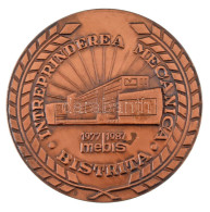 Románia 1987. "Besztercei Mechanikai Vállalat 1977-1987" Kétoldalas Bronz Emlékérem (60mm) T:AU Romania 1987. "Intreprin - Unclassified