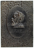 DN Balra Néző Szakállas Férfit Profilból ábrázoló öntött Fe Plakett, Cirillbetűs(?) Szöveggel (95x133mm) T:AU ND Cast Fe - Unclassified