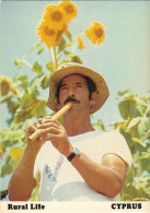 Delcampe - CPM AK CYPRUS Rural Life GREECE (1107249) - Zypern
