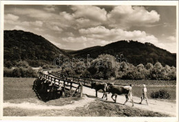 ** T2 Vereckei-hágó, Veretsky Pass (Bereg); Verecke Vára, Híd / Castle, Bridge - Unclassified