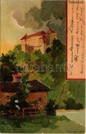T2/T3 1899 (Vorläufer) Neustift Im Mühlkreis, Schloss Rannariedl / Castle. H. Koch, Wien I. No. 3. Litho (EK) - Unclassified