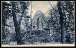 AK Lindow / Mark, Ruine Mit Klostermauer  - Lindow
