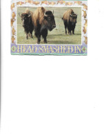 Canada -  PC   Circulated  1985 -    Head-Smashed - In Buffalo Jump,Alberta - Sonstige & Ohne Zuordnung