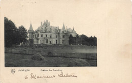 [-5%] BELGIQUE - Jamoigne - Château Des Croisettes - Champ - Tour - Porte - Cour - Foin - Ed Nels - Carte Postale Ancien - Chiny