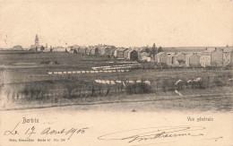 [-5%] BELGIQUE - Bertrix - Vue Générale - église - Maison - Champ - étang - Linge - Nels - 1905 - Carte Postale Ancienne - Bertrix