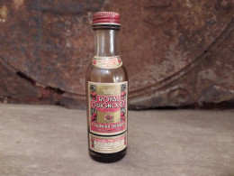 Ancienne Mignonnette Royal Guignolet Fournier-Demars - Miniaturflaschen