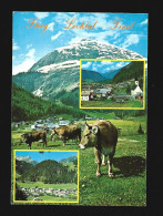 Steeg Lechtal Tirol Multivues Photo Card Austria - Lechtal