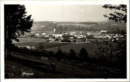 58975 - Niederösterreich - Purgstall , Panorama - Gelaufen 1961 - Purgstall An Der Erlauf