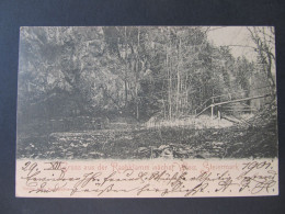 AK Weiz Raabklamm 1901 / D*61674 - Weiz