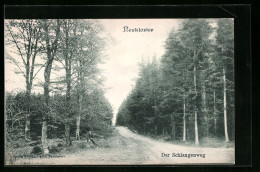 AK Neukloster, Waldpartie Mit Schlangenweg  - Neukloster