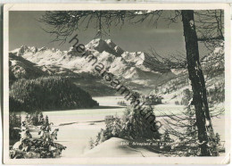 Silvaplana - Foto-Ansichtskarte - Verlag Albert Steiner St. Moritz - Silvaplana