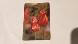 Turkey-(TR-TT-C-0022)-FLOWER 03-(204)-(200units)-(4/2003--6/2005)-(A02B80132212421855)-used Card - Turchia
