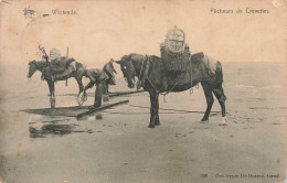 METIER - Pêche - Pêcheurs De Crevettes - Westende - Cheval - 960 - Héliotypie De Graeve Gand - Carte Postale Ancienne - Visvangst