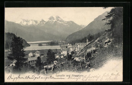 AK Silvaplana, Ortsansicht Mit Blick Auf Campfér  - Silvaplana