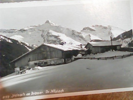 AUSTRIA TIROLO  STEINACH AM BRENNER  IN NOSLACH VB1950 KD2133 - Steinach Am Brenner