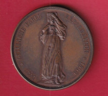 SVIZZERA NEUCHATEL GUILLAUME FAREL MEDAGLIA 1875 - Royal / Of Nobility