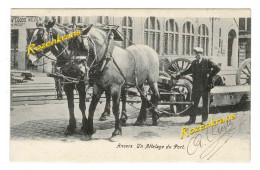 Antwerpen Dokwerkers Havenarbeiders Paard En Kar Attelage Cheval De Nation Cheval Du Port Haven Le Port Anvers Natie - Antwerpen