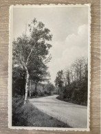 Delcampe - Mechelen-aan-de-Maas. Doorheen De Bossen - Maasmechelen