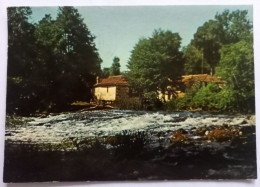 Delcampe - Brantome - La Dronne Et Le Vieux Moulin - CPSM GF - Brantome