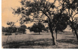 Delcampe - Uccle - Uccle - Ukkel