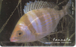 Delcampe - Nº230  TARJETA DE MALTA  DE UNOS PECES (FISH-PEZ) - Malta