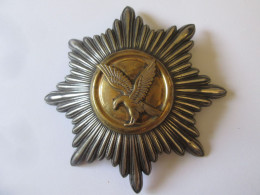 Rare! Denmark-Falcks Redningskorps:Insigne Pompiers D'argent Plaque D'or/Fire Brigade Badge Gold Plated Silver,diam=118 - Firemen