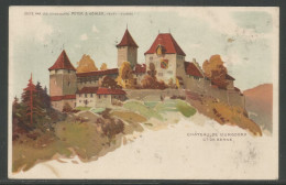 Carte P De 1920 ( Le Château De Burgdorf ) - Berthoud