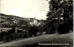59623 - Niederösterreich - Steinakirchen , Am Forst , Panorama - Gelaufen  - Scheibbs