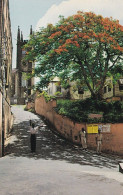 Grenada West Indies - St George's Busy Corner Old Postcard - Grenada