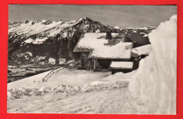 ABF-33  Hotel Berghaus Niederhorn Mit Niesen. Gelaufen 1953  Photoglob 5692 - Beatenberg