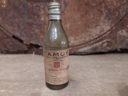 Ancienne Mignonnette Cognac Camus - Miniaturflaschen