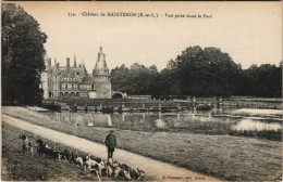 Delcampe - CPA Maintenon Le Chateau FRANCE (1155481) - Maintenon