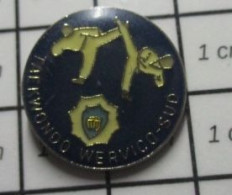 413A Pin's Pins / Beau Et Rare / THEME SPORTS / CLUB  WERVICQ SUD TAEKWONDO - Volleybal