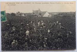 Delcampe - Les Grands Vins Du Vouvray - Ch. Vavasseur, Propriétaire - Clos Des Roches: Les Vendanges - Vouvray