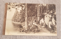 Delcampe - FRANCE GERARDMER -BORD DU LAC CARTE POSTALE POSTKARTE POST CARD CIRCULED - Bäume