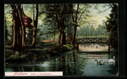 AK Altdöbern, Gondelplatz Mit Brücke Im Park  - Brück