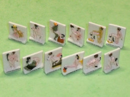 TC14 / Fève / Série De Fèves Complète : Kama Sutra 2004 ( Pré-série ) Kamasutra - Characters