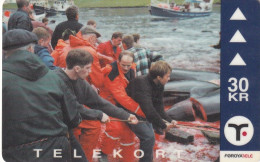 FAROE ISL. - Pilot Whales(32), Tirage 17500, 10/00, Used - Isole Faroe