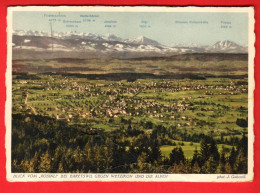 ABG-17 Bäretswil Blick Vom Rosinli  Gegen Wtzikon Und Die Alpen  Gaberell 16539  GF NG - Bäretswil