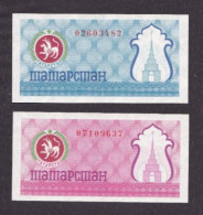 ND(1993) Tatarstan First Currency Checks (2) Issue (100) Roubles ,P#6C,6B/B2 - Tatarstan