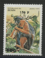 BENIN Cote 180 € N° 956 CA (708Q) Mi 1272 (640) Neuf ** (MNH) SINGE MONKEY TB Voir Suite - Bénin – Dahomey (1960-...)