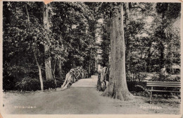 Delcampe - Woerden Plantsoen VN2566 - Woerden